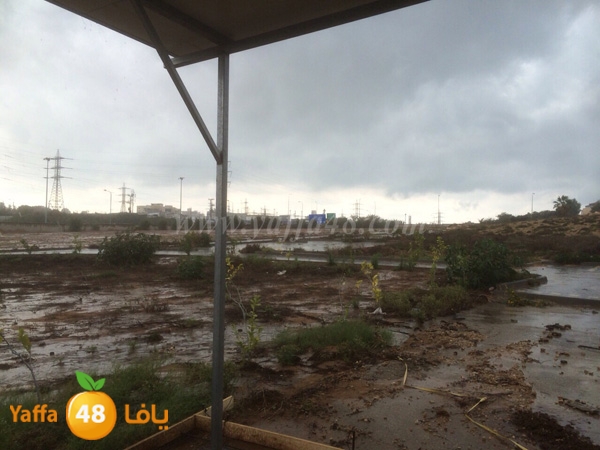 hai2a taso asmant (8).JPG